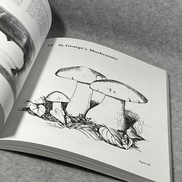 Projects for Creative Woodcarving by Ian Norbury 1995 Trade Paperback Good‎ - Picture 9 of 14